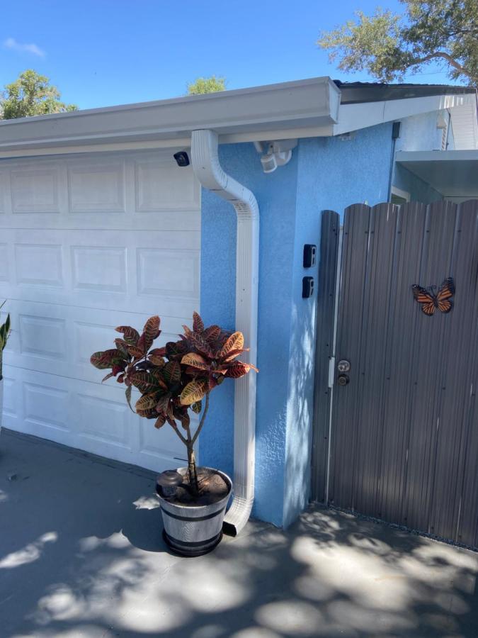 Lovely Unit With Independent Entrance Apt # 1 Apartment Tampa